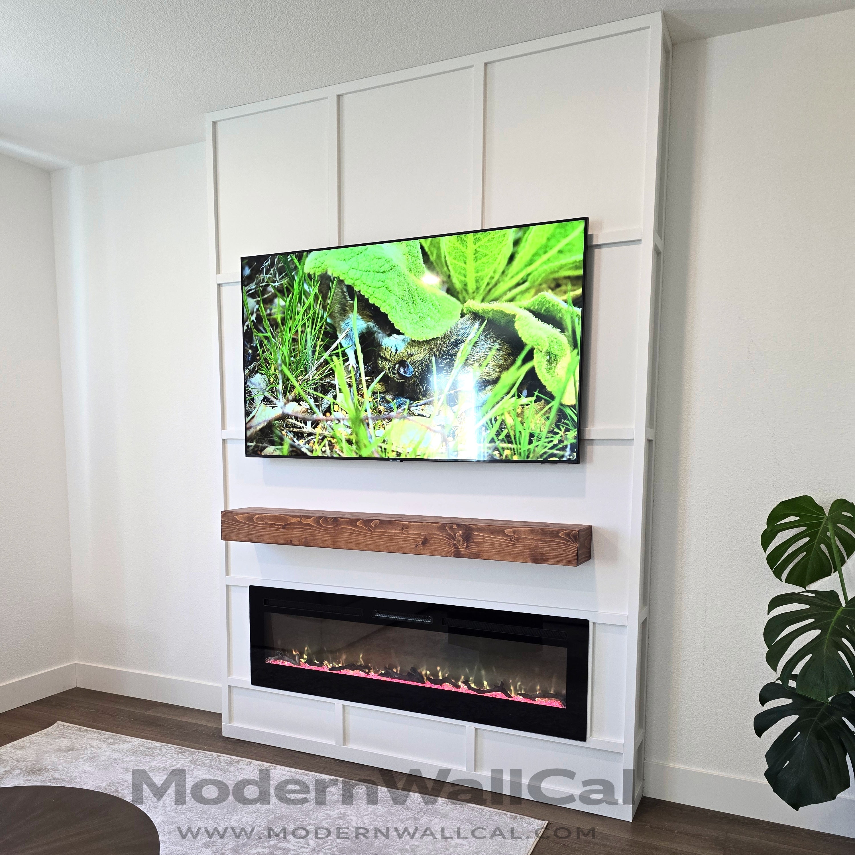 Full Wall Project 161