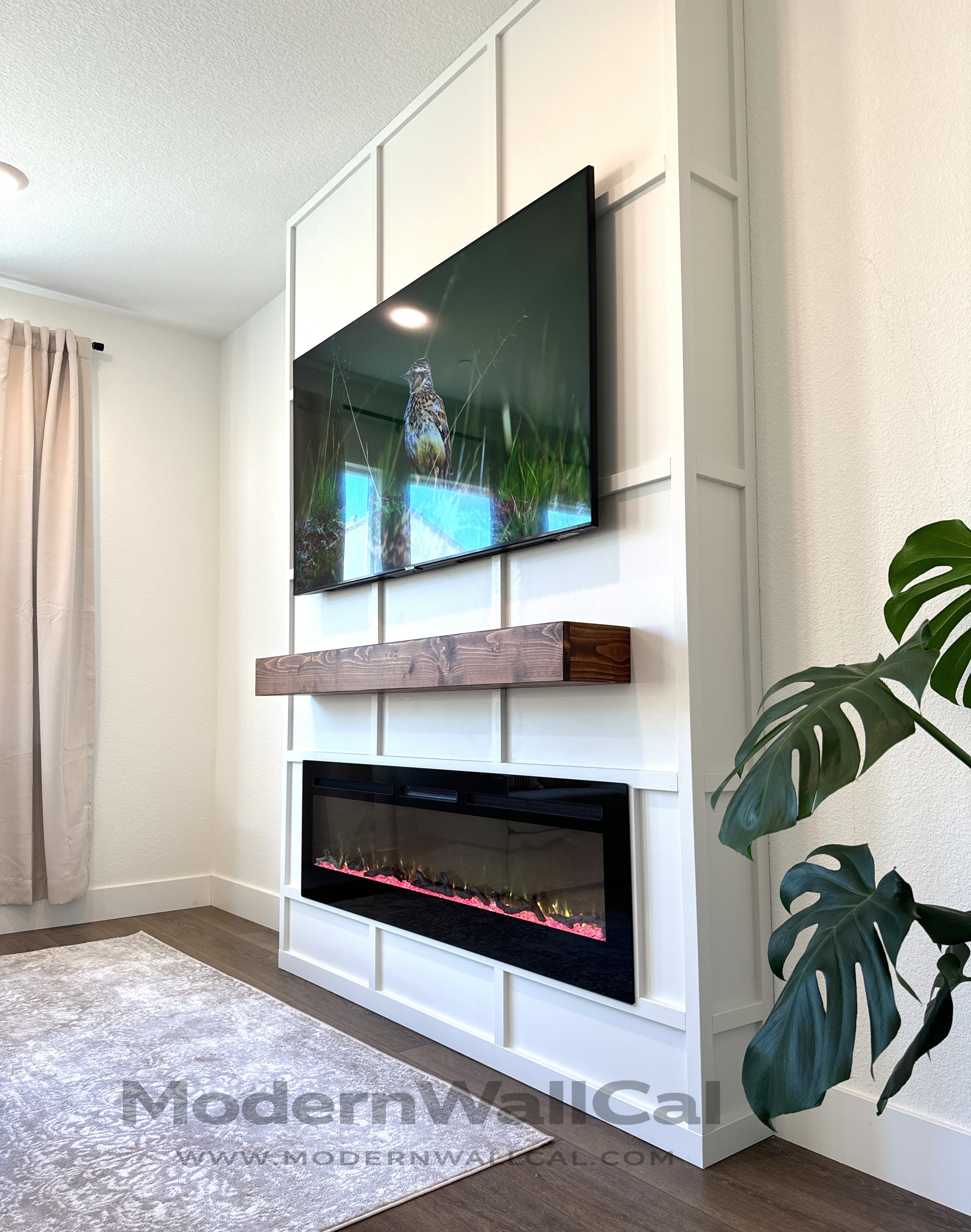 Full Wall Project 161